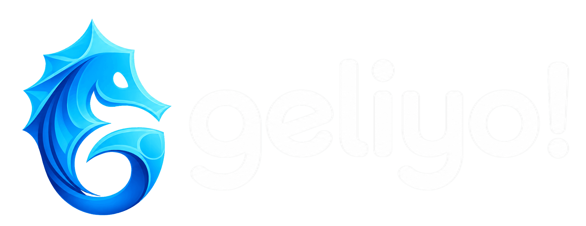 Geliyo! Kurye Franchise