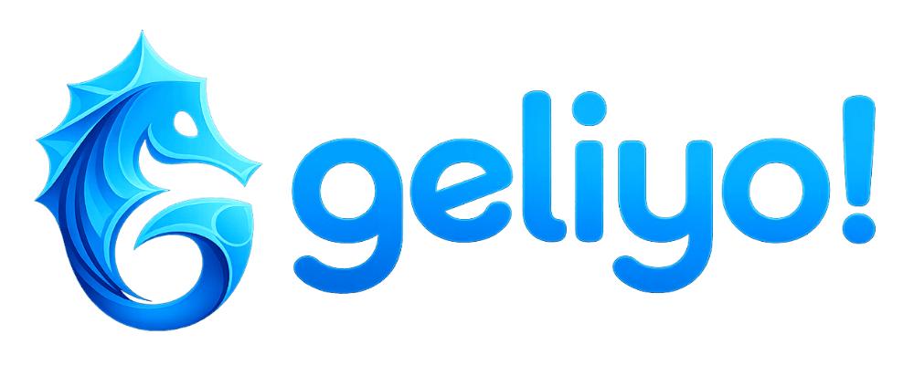 Geliyo! Kurye Franchise